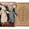 Grossmutter und Grossvater Mäuse in Zigarrenschachtel
