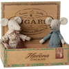 Grossmutter und Grossvater Mäuse in Zigarrenschachtel