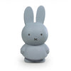 Miffy Spardose medium – Silver Blue
