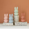Miffy Spardose medium – Silver Blue