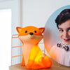 Cesar Fuchs LED Nachtlicht mit USB